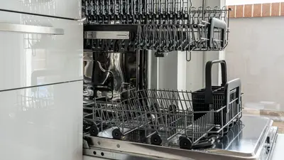 Open and empty dishwasher in a sunlit modern kitchen ready for use.