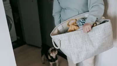 Crop unrecognizable female with nag of dirty clothes standing in light room room with with cute dog during laundry routine
