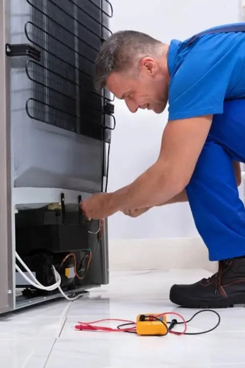 Compressor & Sealed System Performance — Freezer Repair