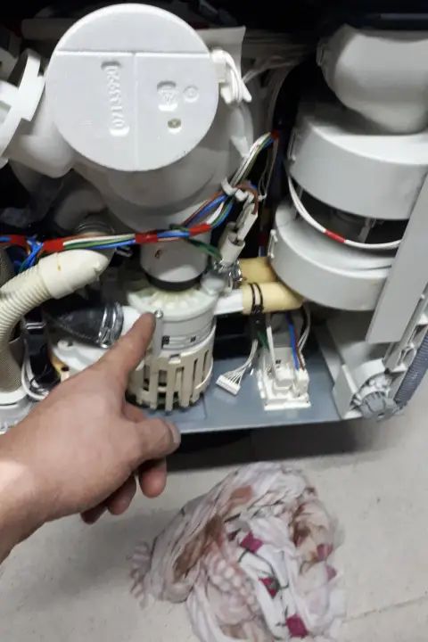 Wash, Spray & Circulation Systems — Dishwasher Repair